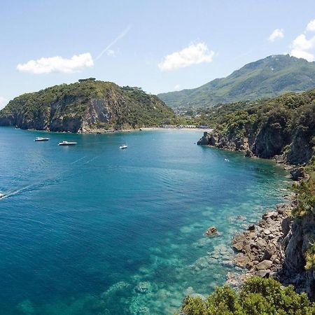 Pet Friendly Home In Ischia With Wifi Екстериор снимка
