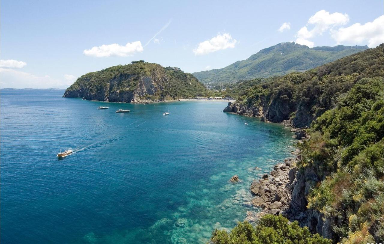 Pet Friendly Home In Ischia With Wifi Екстериор снимка
